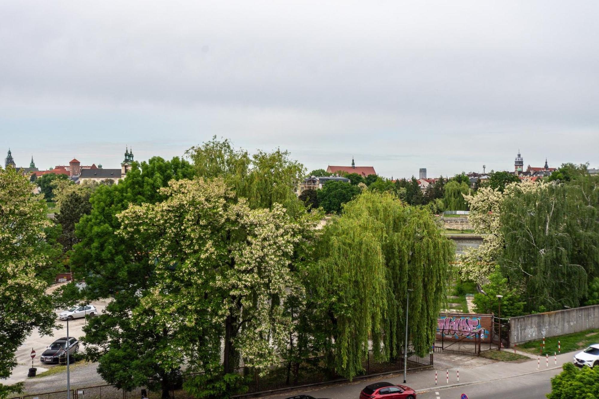 3D Ludwinowska 11 Apartment Krakow Bagian luar foto